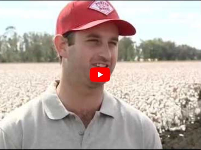 Australian Cotton Tourism Potential